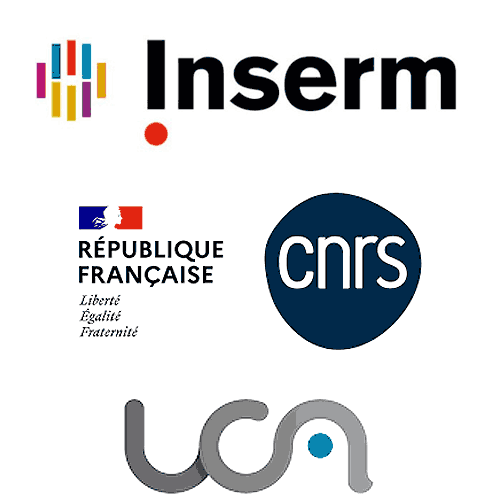 Molecule patented by INSERM/CNRS/UCA