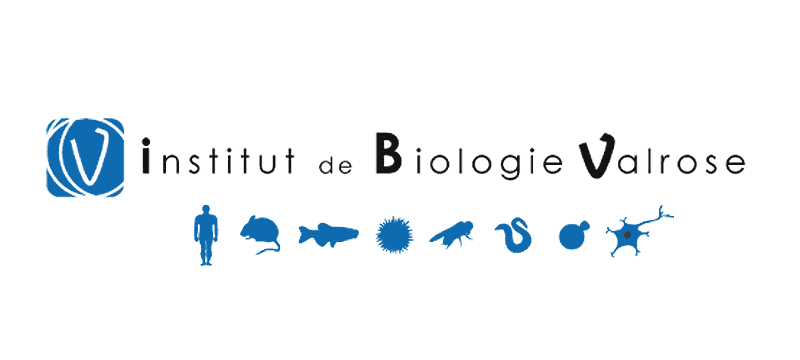 institut de biologie valrose ibv unice